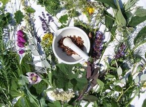 plante medicinale pentru tratamentul osteocondrozei